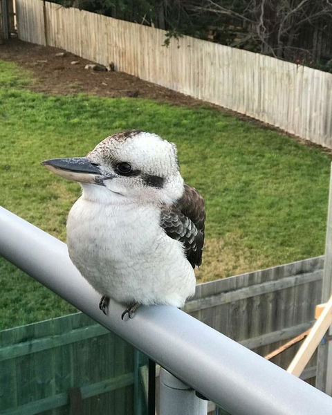 Seas The Day - Seaside Getaway - Grafton Accommodation 11