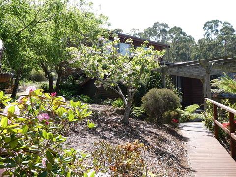 Osprey Lodge & Bungalow - Grafton Accommodation 20