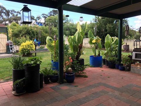 Blue Wren Bungalow - Grafton Accommodation 0