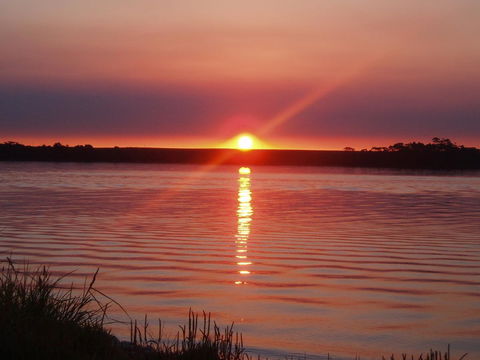 Regatta Point Tavern & Holiday Villas - Grafton Accommodation 41