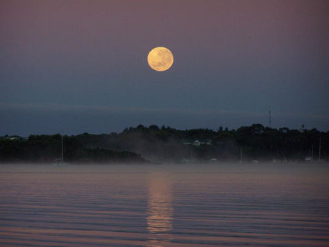 Regatta Point Tavern & Holiday Villas - Grafton Accommodation 39