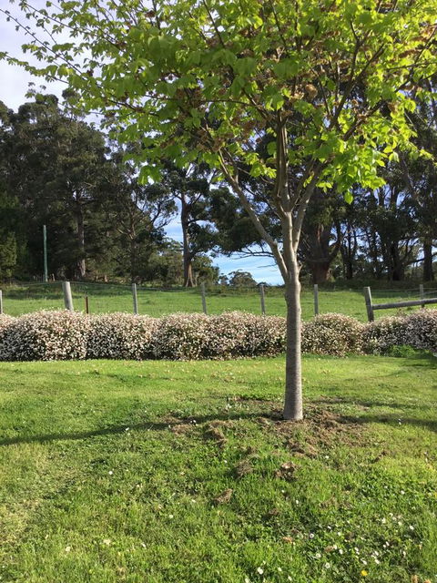 Nextdoor@portarthur - Grafton Accommodation 17