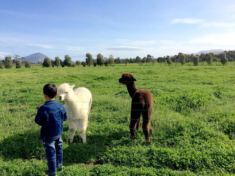Taras Richmond Farmstay - Grafton Accommodation 0