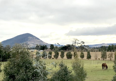 Taras Richmond Farmstay - Grafton Accommodation 1