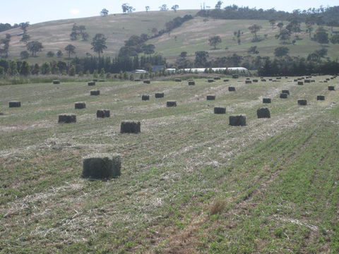 Taras Richmond Farmstay - Grafton Accommodation 18
