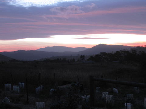 Taras Richmond Farmstay - Grafton Accommodation 22