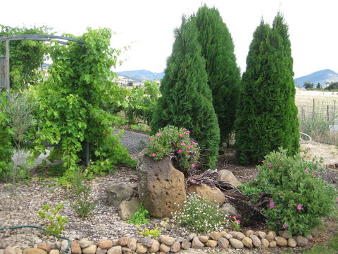 Taras Richmond Farmstay - Grafton Accommodation 23