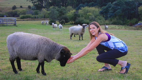 Ashdowns Of Dover - Grafton Accommodation 26