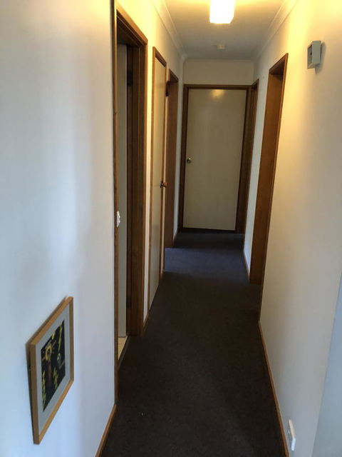 Little Mountain Town - Grafton Accommodation 10