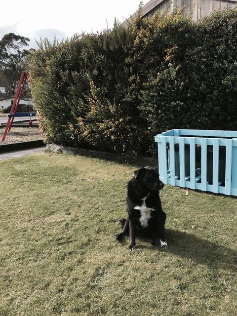 Strahan Beach Tourist Park - Grafton Accommodation 9