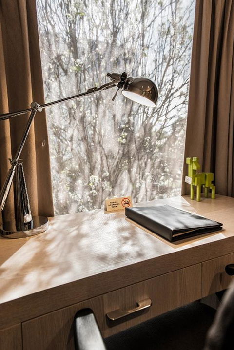 The Waverley International Hotel - Grafton Accommodation 22