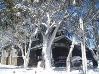 Book Dinner Plain Accommodation Vacations Grafton Accommodation Grafton Accommodation