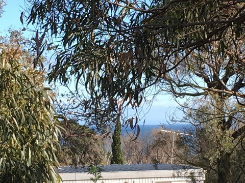 Kookas Retreat - Grafton Accommodation 17