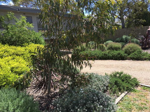 Kookas Retreat - Grafton Accommodation 13