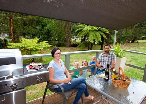 Marysville Caravan And Holiday Park - Grafton Accommodation 19