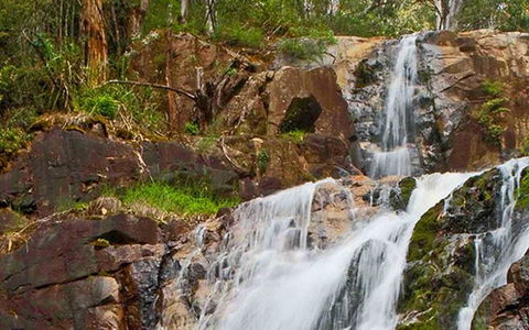 Marysville Caravan And Holiday Park - Grafton Accommodation 37