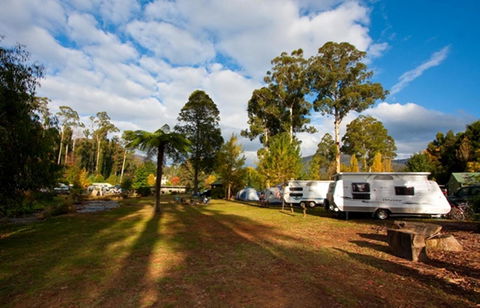 Marysville Caravan And Holiday Park - Grafton Accommodation 30