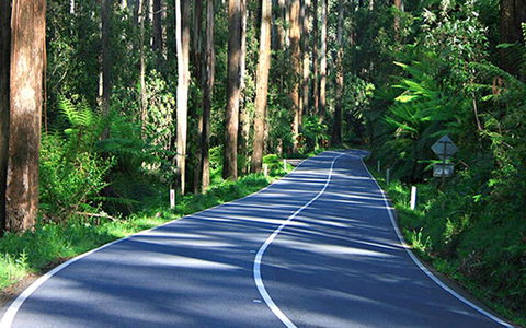 Marysville Caravan And Holiday Park - Grafton Accommodation 40