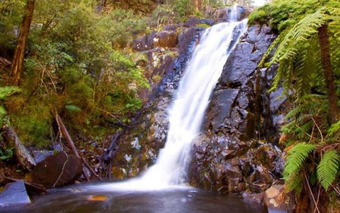 Marysville Caravan And Holiday Park - Grafton Accommodation 32