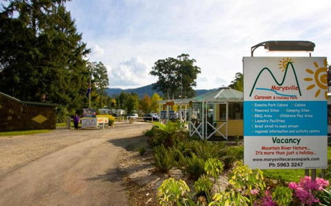 Marysville Caravan And Holiday Park - Grafton Accommodation 33