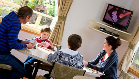 Marysville Caravan And Holiday Park - Grafton Accommodation 41