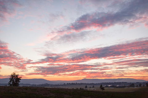Yering Gorge Cottages - Grafton Accommodation 2