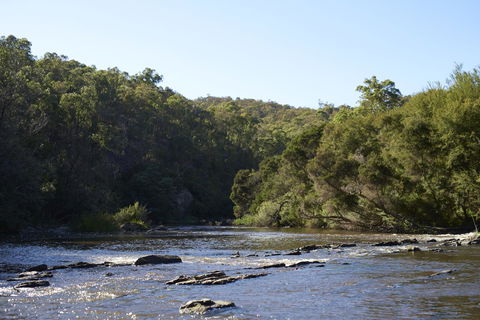 Yering Gorge Cottages - Grafton Accommodation 21