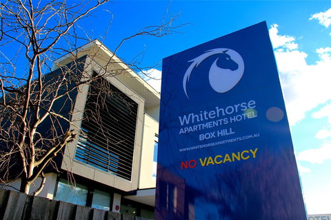 Whitehorse Apartments Hotel - Grafton Accommodation 11