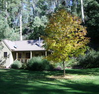 shady brook cottages - Grafton Accommodation