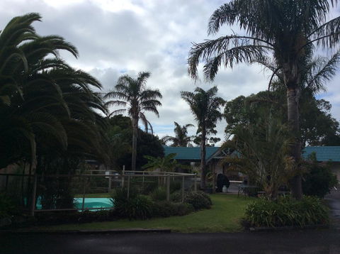 Tropicana Motor Inn - Grafton Accommodation 37