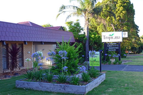 Tropicana Motor Inn - Grafton Accommodation 10