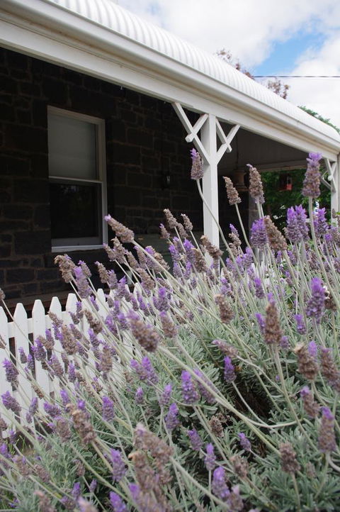 Little River Bed And Breakfast - Grafton Accommodation 30