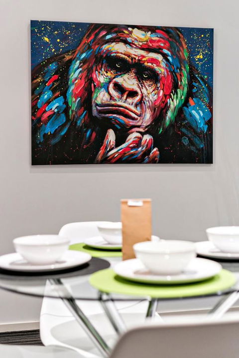 Complete Host Halo Apartments - Grafton Accommodation 27