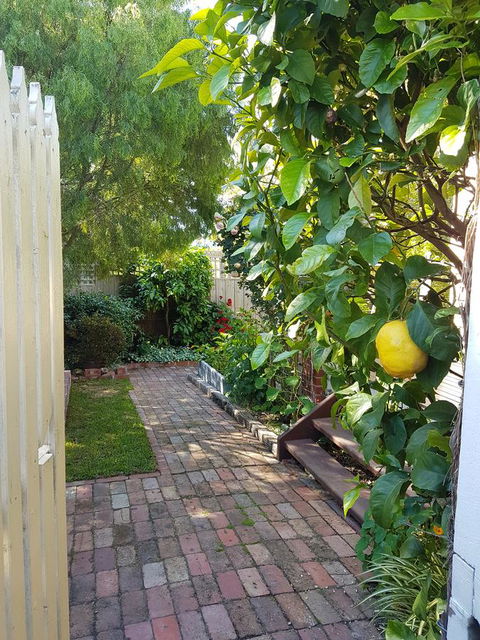 Healesville House - Fig Tree House - Grafton Accommodation 17