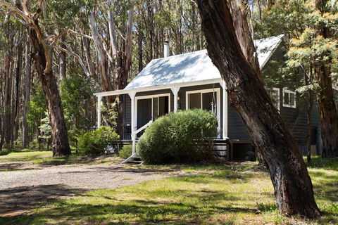 Bodhi Daylesford - Grafton Accommodation 26
