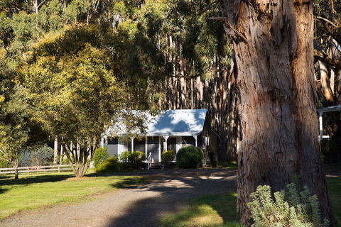 Bodhi Daylesford - Grafton Accommodation 8