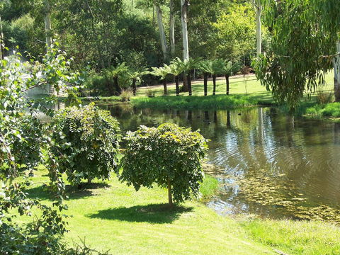 Nightcap At York On Lilydale - Grafton Accommodation 36