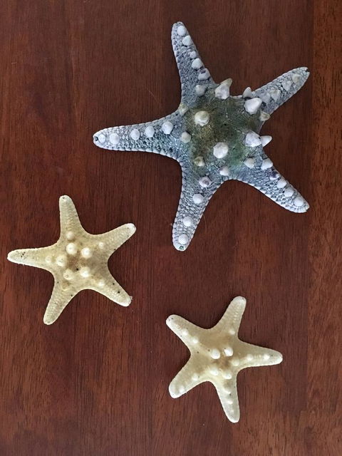 Ocean View Beach House - Grafton Accommodation 2