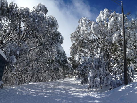 Maisonettes Falls Creek - Grafton Accommodation 17