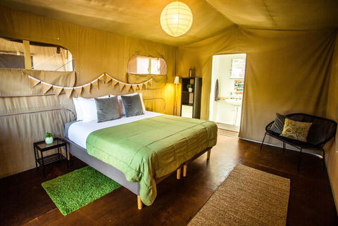 The Beachcamp Eco Retreat - Grafton Accommodation 2