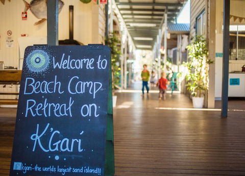 The Beachcamp Eco Retreat - Grafton Accommodation 0