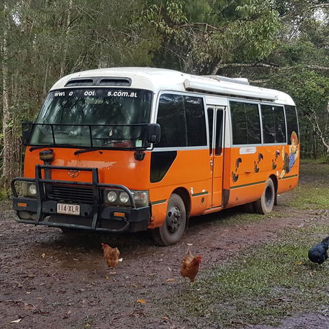 The Cabin - Grafton Accommodation 3