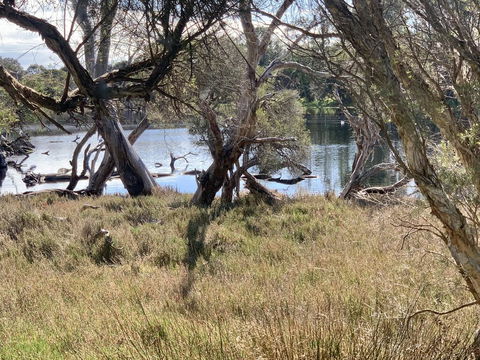 The Lake House - Grafton Accommodation 0