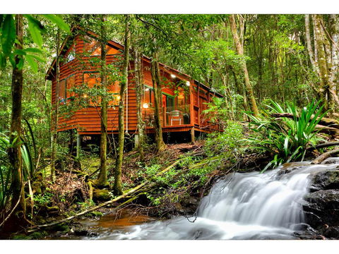 The Mouses House Rainforest Retreat - Grafton Accommodation 0
