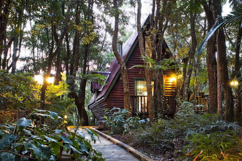 The Mouses House Rainforest Retreat - Grafton Accommodation 1