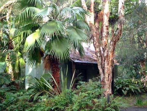 The Oasis At One Mile Beach - Grafton Accommodation 0
