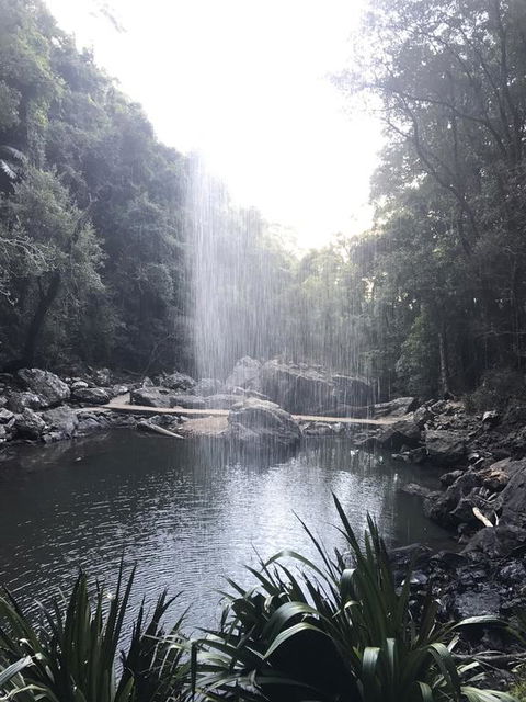 The Sanctuary At Springbrook - Grafton Accommodation 3