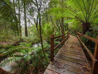 Book Tanybryn Accommodation Vacations Grafton Accommodation Grafton Accommodation