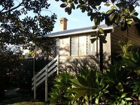 The Tree House, 6 Gowing Street - Grafton Accommodation 2