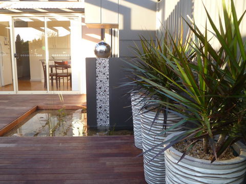 The Wet Lizard - Grafton Accommodation 0